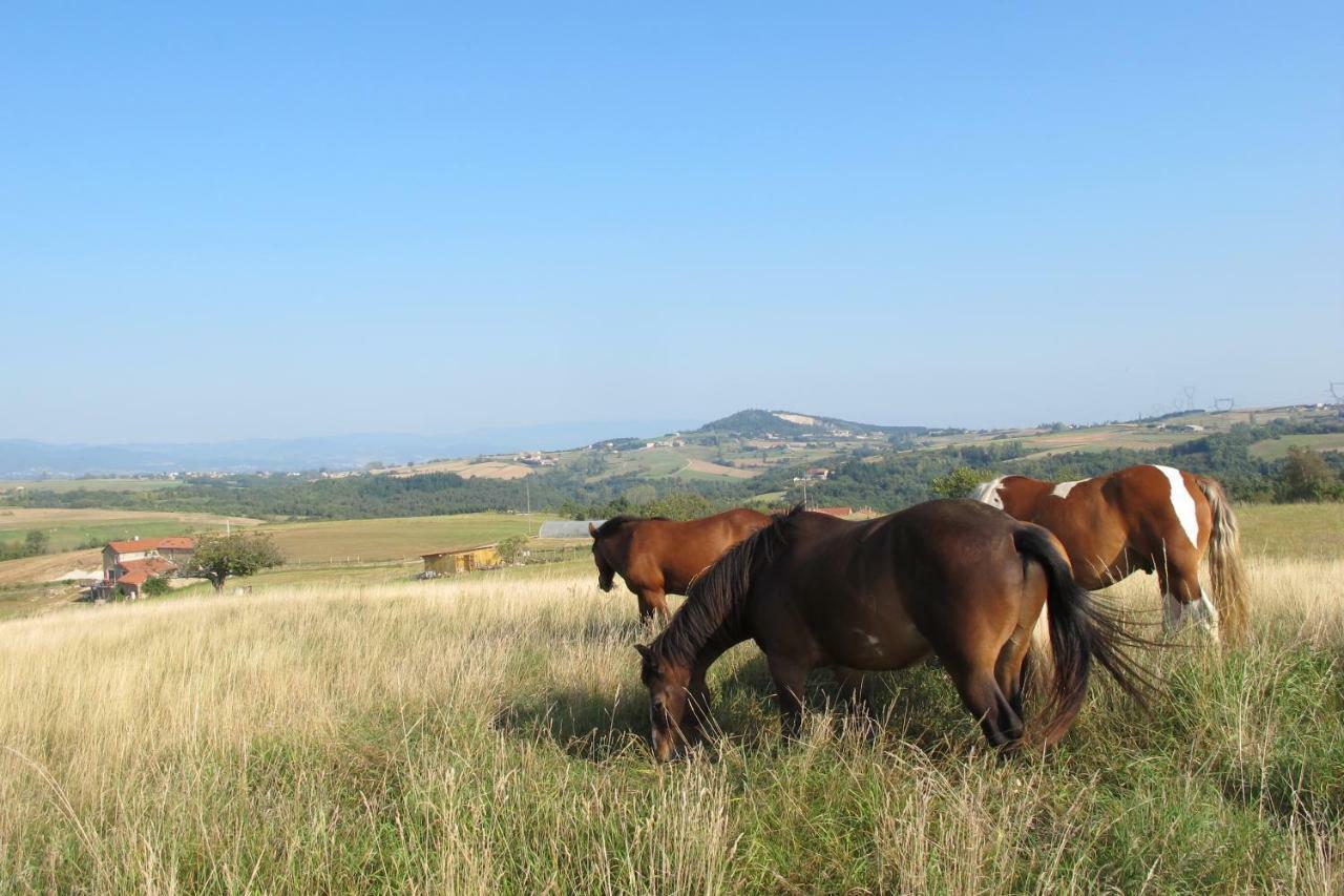 Gite Le Corral Cheminas Esterno foto